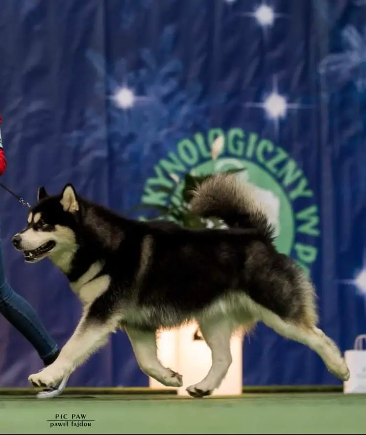 TIME FOR HERO z Śnieżnej Doliny