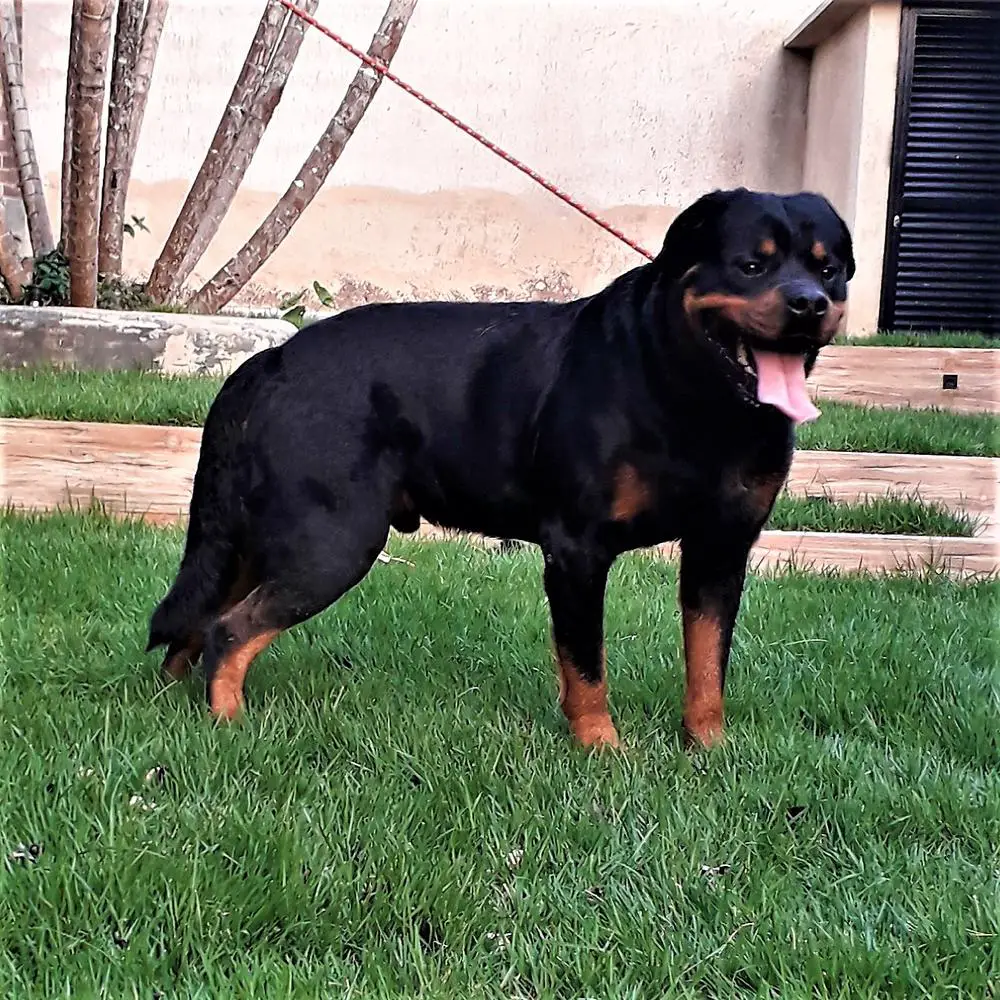 Ero Ranchlara