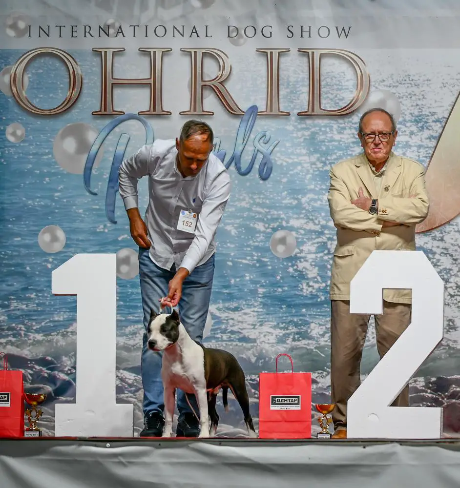 GPOWER LONG STEP DOUBLE TROUBLE AST