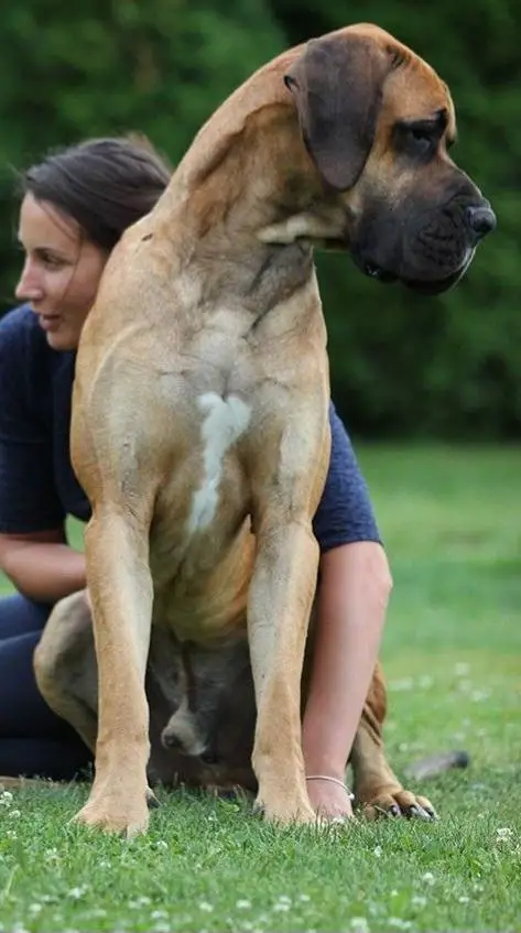 LAYYAPAN DE LA BENJAMINE