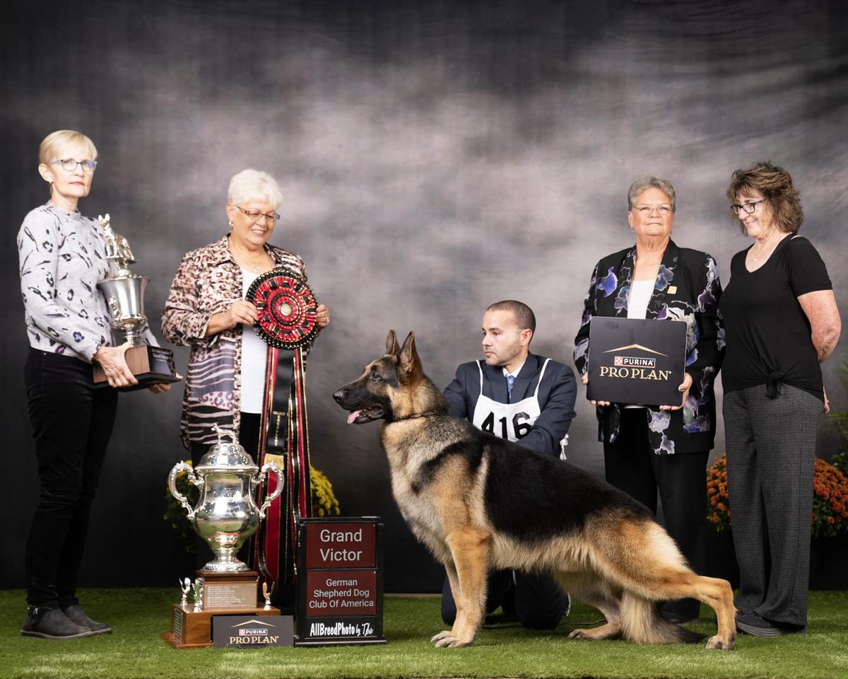 2024 US GV SEL MBISS GCH CH Legacy's Redemption of Breauhausen