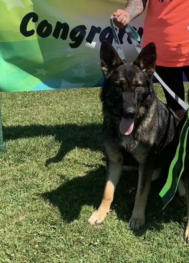 Harper Von Sonnenhugel