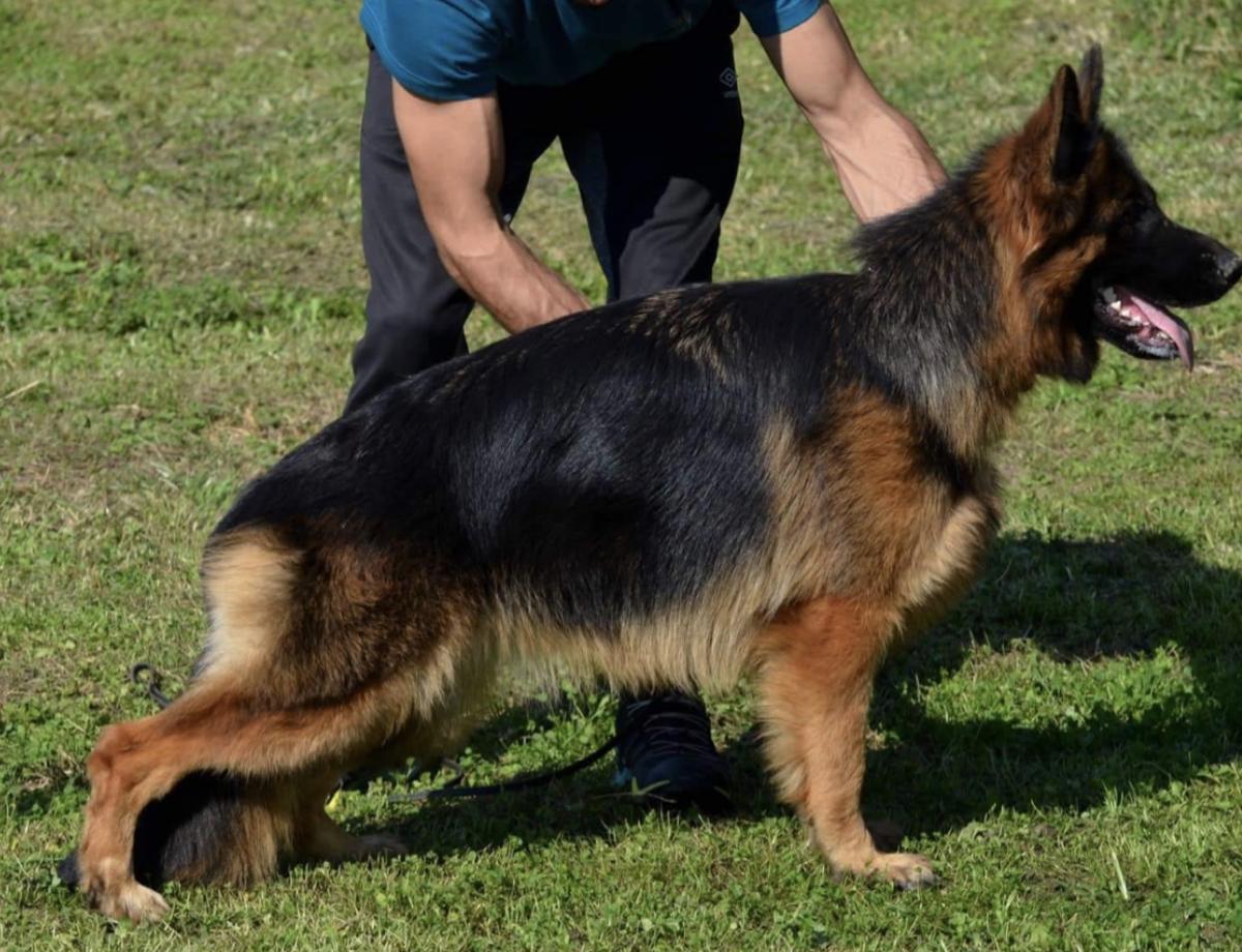 SG1 SANA TEAM CARRERA