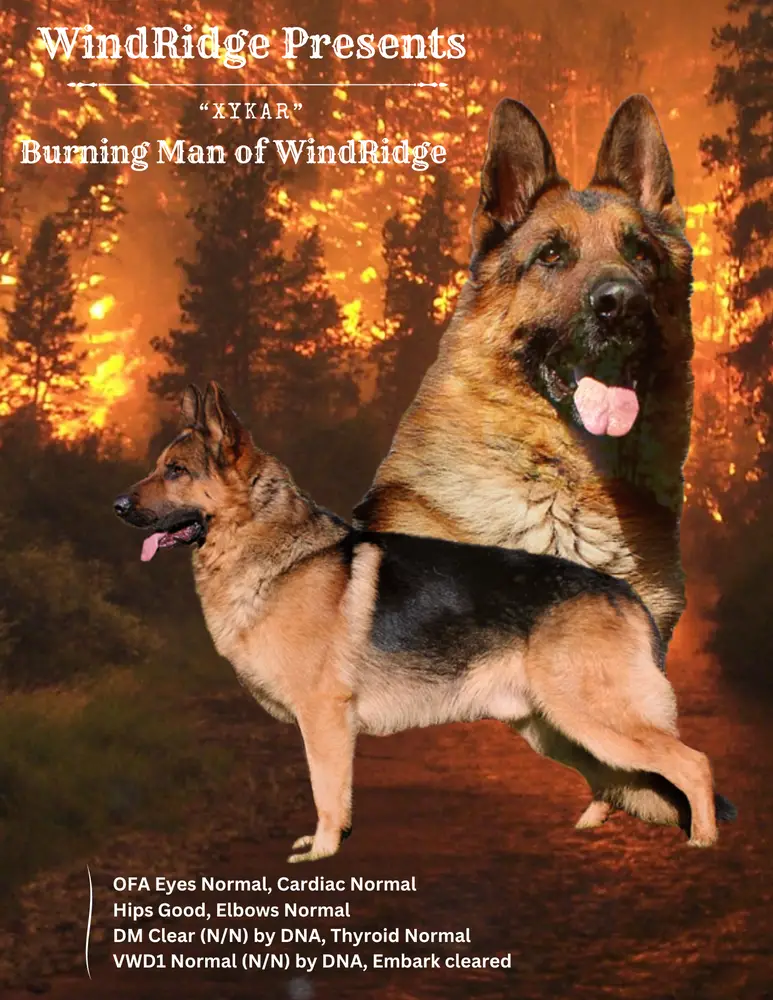 Burning Man of WindRidge