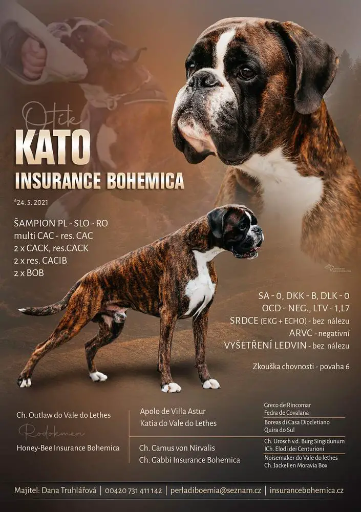 KATO Insurance Bohemica