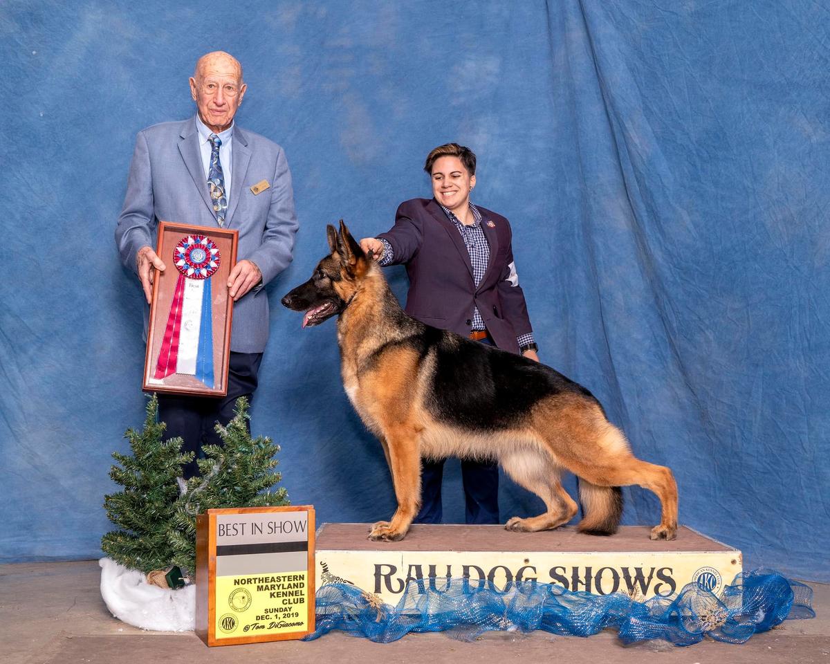 BIS GVX GCH Eagle Valley's Lady In Red