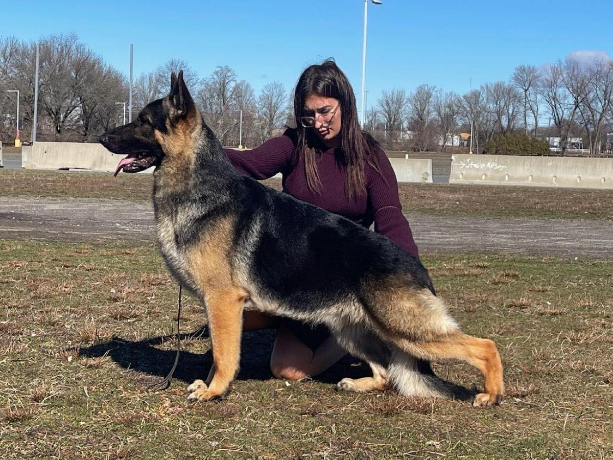 Marquis’ Hook Line n’ Sinker