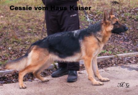 V Cessie vom Haus Kaiser