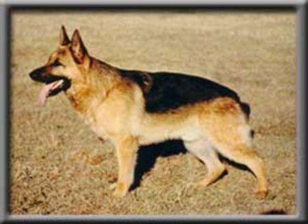 SG Uso von der Dietersruh