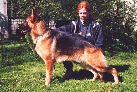 Benn vom Salzgitter Milieu