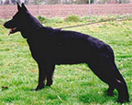 V Vita von der Emsaue