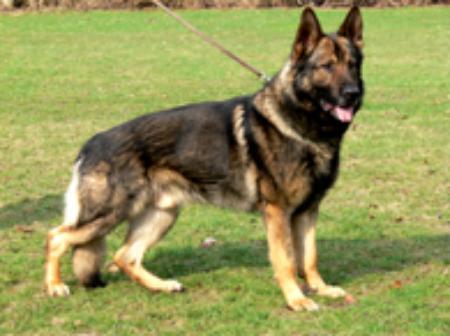 V Quanto vom Lippetal