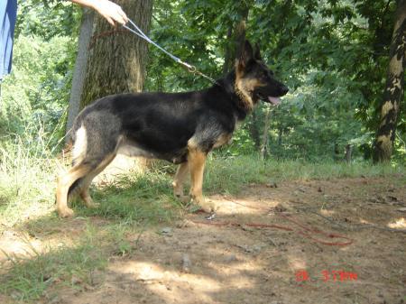 Fara vom Haus Kaiser