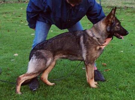 Smilie von der Felsenmühle