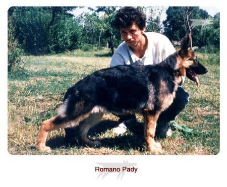 Romano Paddy