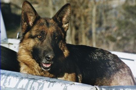 Lucci von Haus aus Bade