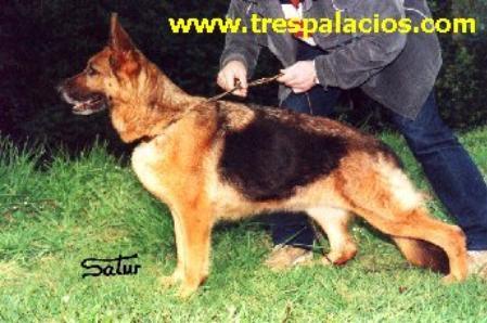 Rumba vom Verana Haus