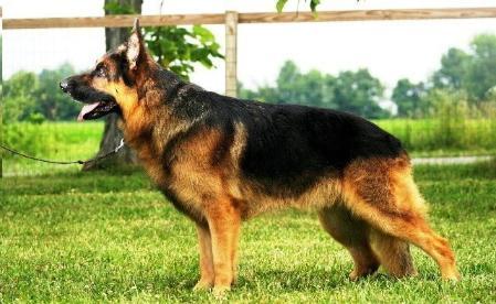 Url Von Wolfratshausen