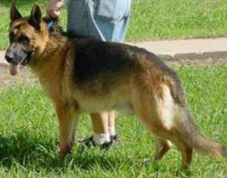 Hans Frederick Vom Ingrumhaus