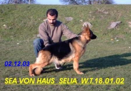 ECC. (RO) Sea Von Haus Selia