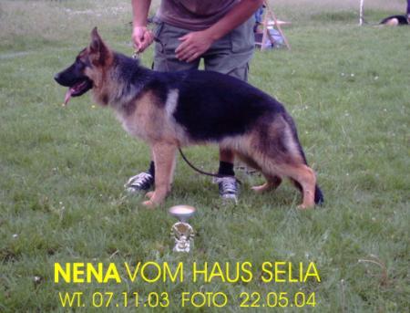 CAC  V Nèna Von Haus Selia