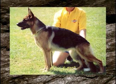 Sensen Mann Black Velvet