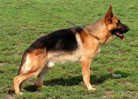 Xano z Dalevoy Zemly