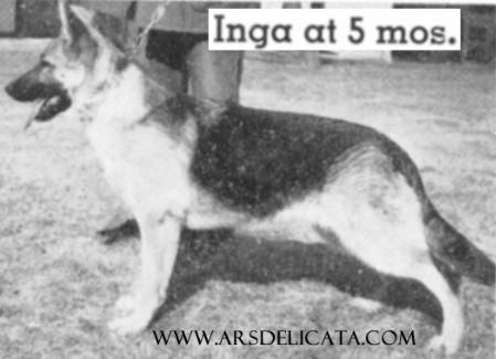 Waldenmark's Inga