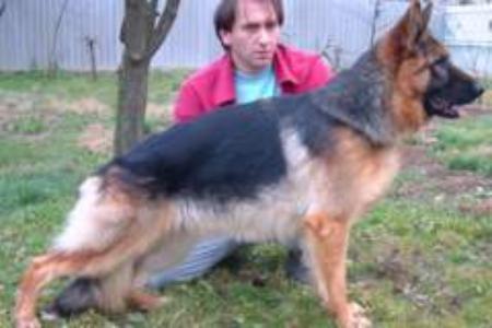 Chastor in Regnum Marianum