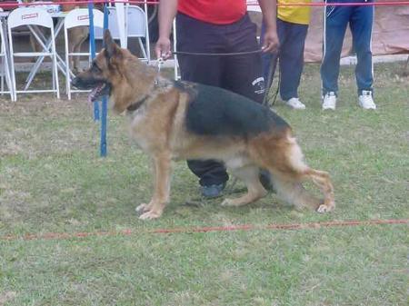 Axel do Império Egípcio