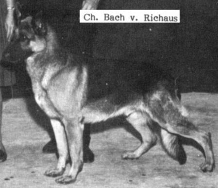 CH (US) Bach v Richaus