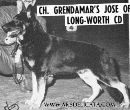 CH Grendamar's Jose of Long Worth