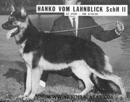 CH Hanko vom Lahnblick