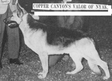 CH (US) Copper Canyon's Valor of Nyak