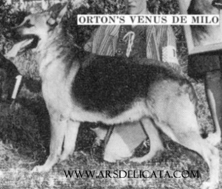 Orton's Venus de Milo