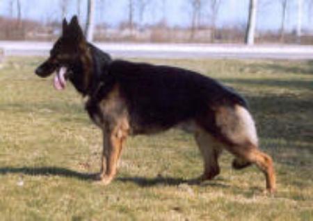 U Brian van de Zeelberg