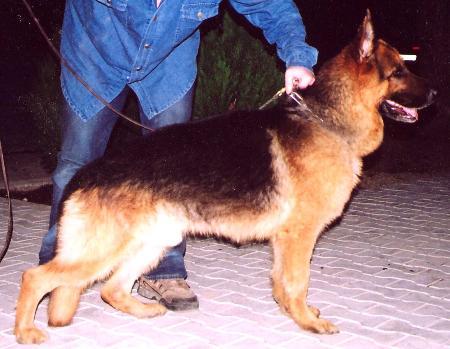 V Canto dell Utveggio