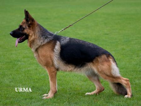 V(LGZS) Estrit von der Urbecke