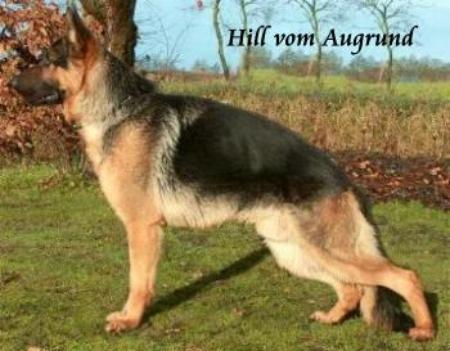 Hill vom Augrund