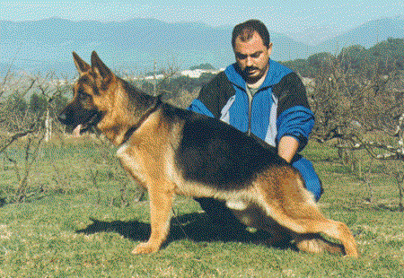 Irk II De Bahia De Cromys