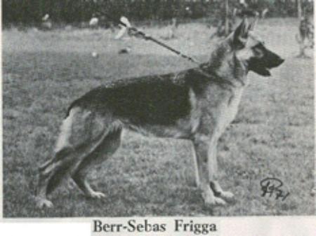 NUCH Beer-Sebas Frigga
