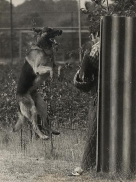 G Netan von der Burg Wilbringen