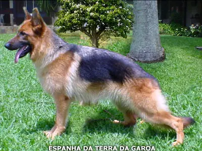 Espanha da Terra da Garoa