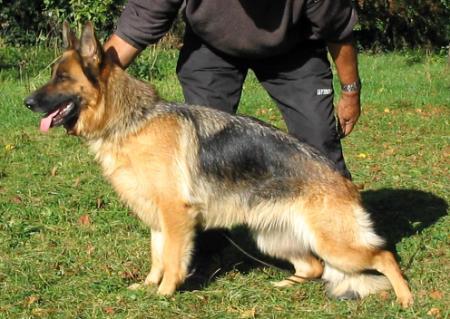 VA 8 (F) Saraby du Mont d'Anubis