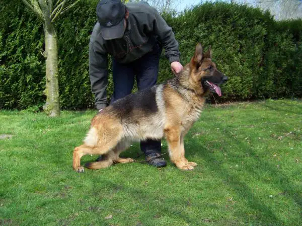 Eike Vom Glockenhaus