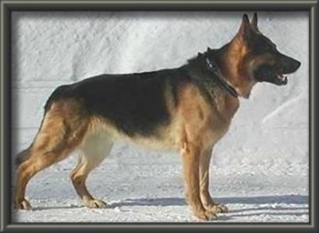 KORAD Norpatorps Kubik