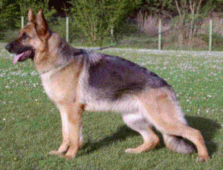 V3,SG1,SG2,SG3 Hillary zum Gigelsfelsen