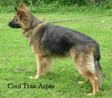 Cool Trax Arrax