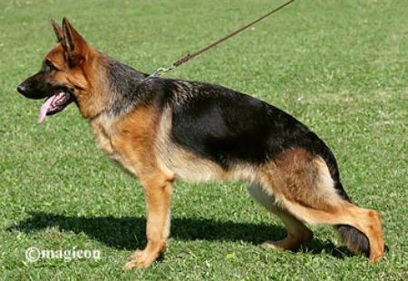 Edmundo od Svete Klare