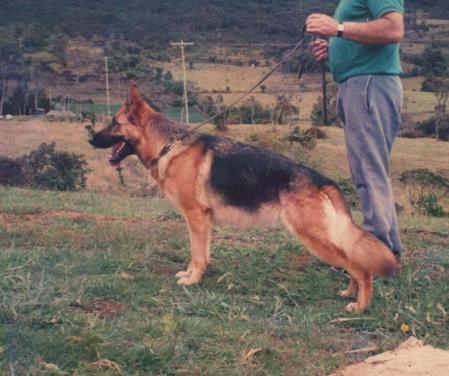 VA2 COAPA '92 Gunda De Santa Mónica